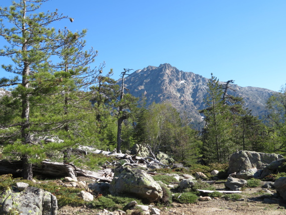 France Corsica: Northern Highlands, Mare-Mare Nord, GR20 east of Col de Virgio looking north, Walkopedia