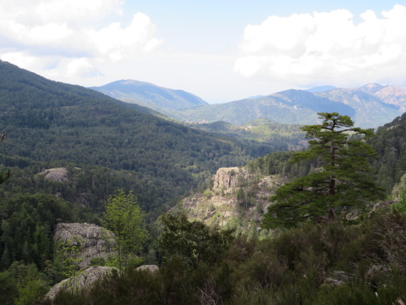 France Corsica: Northern Highlands, Mare-Mare Nord, from track to Bocca a u Saltu, Walkopedia