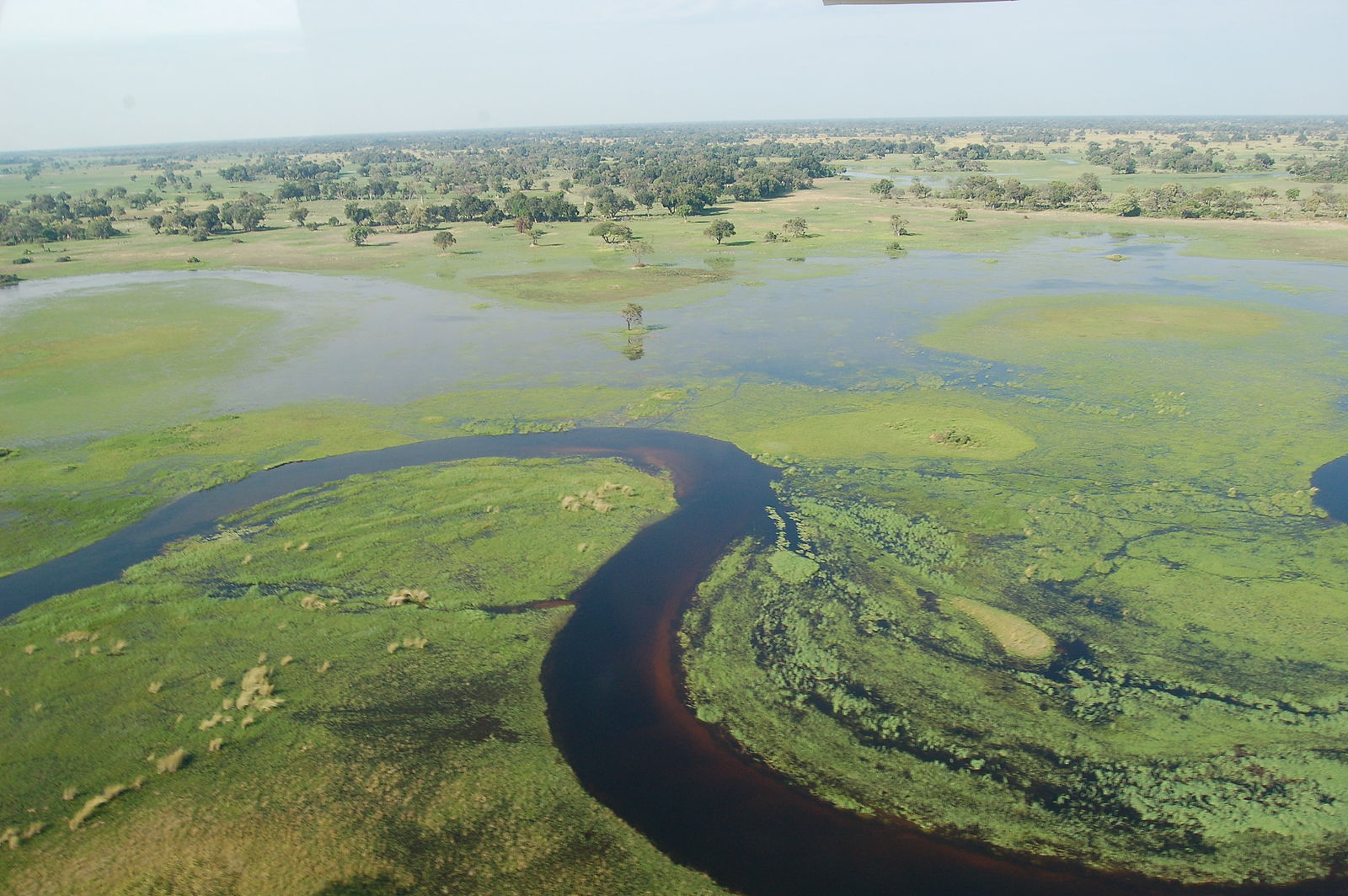 Botswana, Okavango Delta, Okavang Delta Botswana, Walkopedia