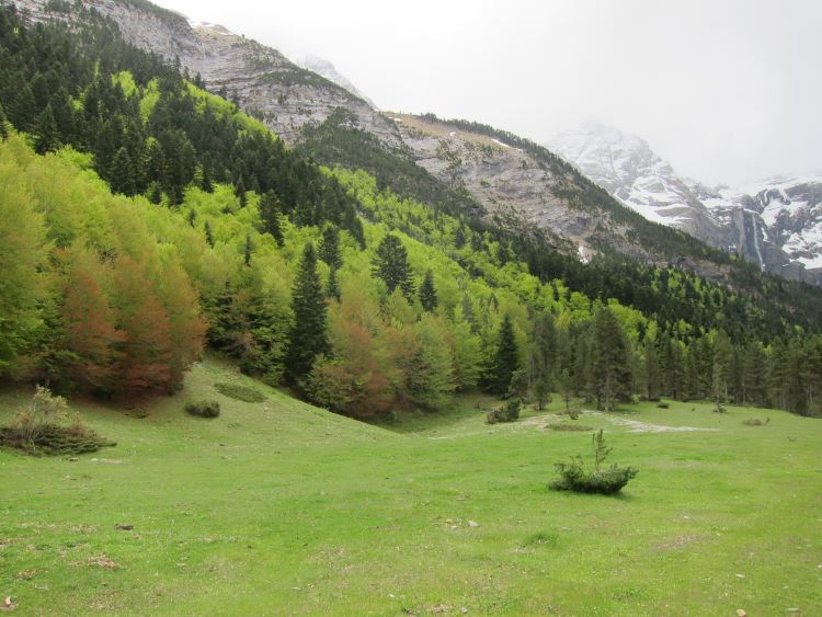 France Pyrenees, Gavarnie Area, Gavarnie Area, Walkopedia