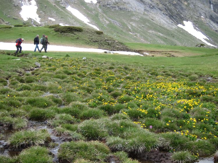 France Pyrenees, Cirque d'Estaube, Cirque d'Estaube - Bright bog, Walkopedia