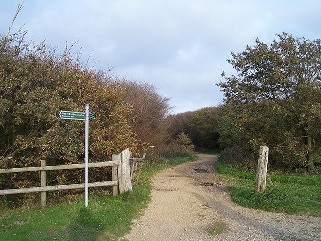 Tennyson Trail - © Copyright Flickr user Bods Tennyson Trail, Isle of Wight: Tennyson Trail - © Copyright Flickr user Bods