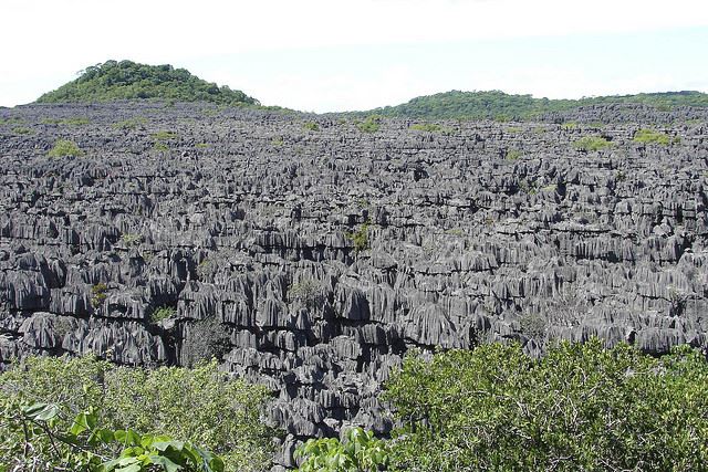 Madagascar, Ankarana NP, Ankarana NP, Walkopedia