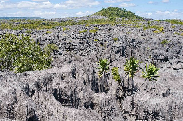 Madagascar, Ankarana NP, Ankarana NP, Walkopedia