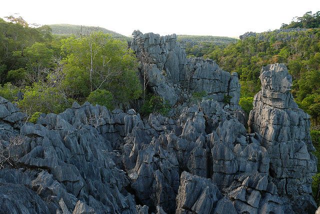 Madagascar, Ankarana NP, Ankarana NP, Walkopedia