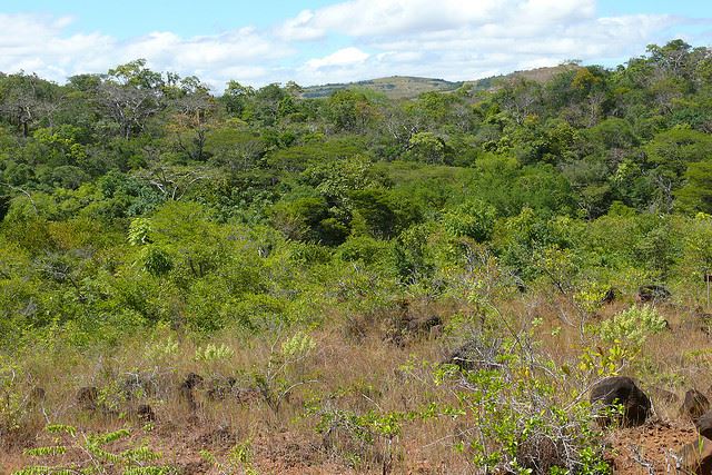 Madagascar, Ankarana NP, Ankarana NP, Walkopedia