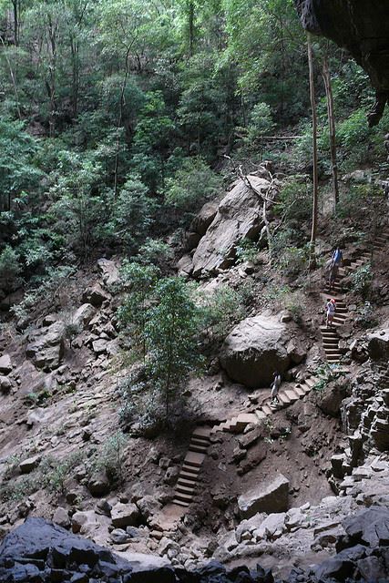 Madagascar, Ankarana NP, Ankarana NP, Walkopedia