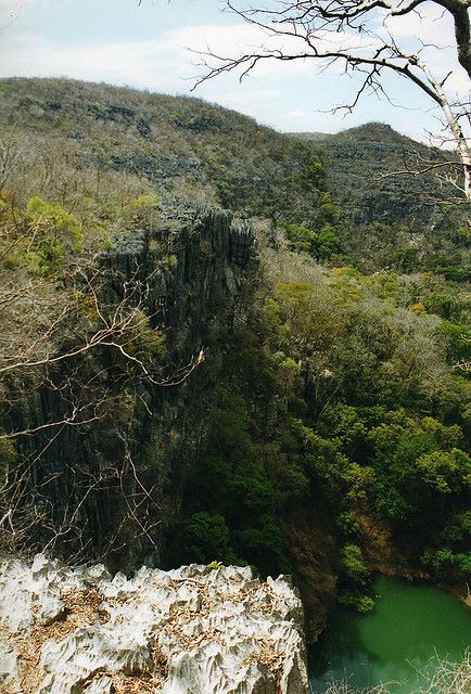 Madagascar, Ankarana NP, Ankarana NP, Walkopedia