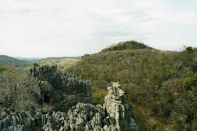 Ankarana NP - © Copyright Flickr user wallygrom Ankarana NP: Ankarana NP - © Copyright Flickr user wallygrom