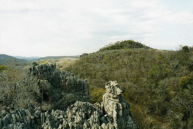 Madagascar, Ankarana NP, Ankarana NP, Walkopedia