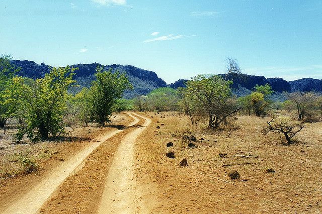 Madagascar, Ankarana NP, Ankarana NP, Walkopedia