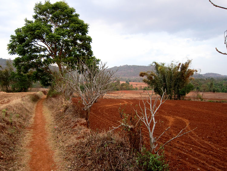 From the clifftop path